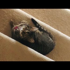 Meet your Posher, Khetam